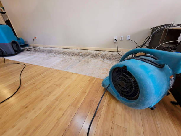 Professional Water Extraction technician working in Warren, MI